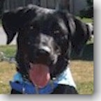 Piper (now Gracie)