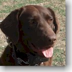 Roxie