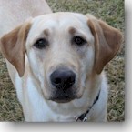 Sammie (now Belle)